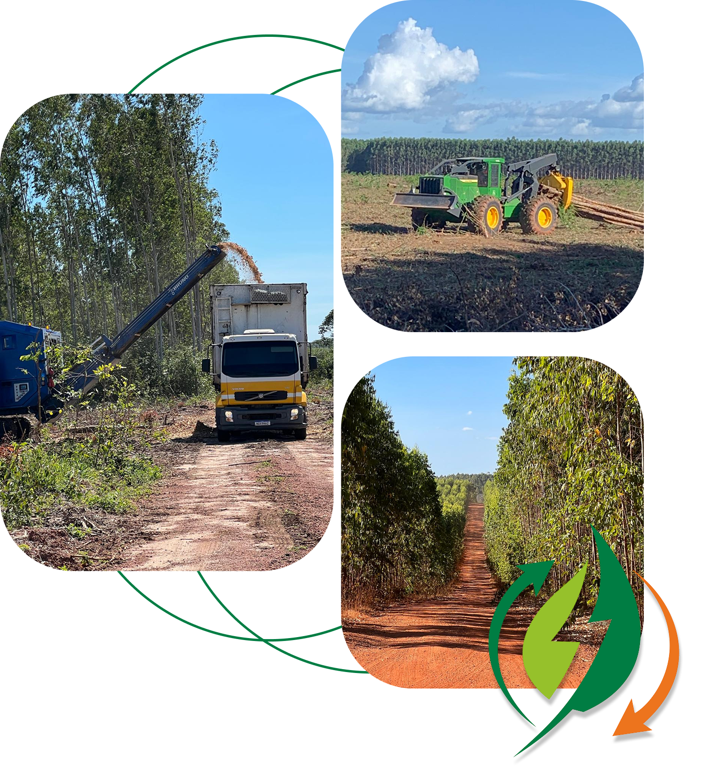 Engenheira Pau Brasil